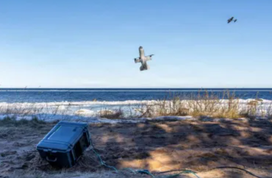 Latest company blogs about NATO unveils a five-year $40 billion counter-unmanned systems investment plan